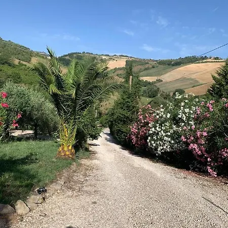 Casamaremonti *